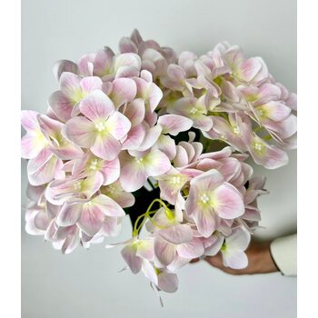 Islak Ortanca Soft Pembe