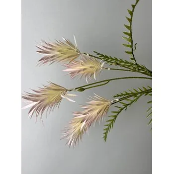Pampas &Ccedil;i&ccedil;ek - Yapay Pampas &Ccedil;i&ccedil;eği
