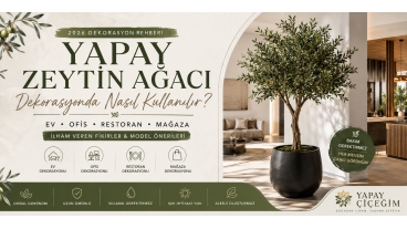 Yapay Zeytin Ağacı Dekorasyonda Nasıl Kullanılır? 2026 Rehberi