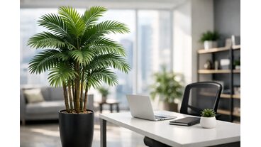 Ofis İ&ccedil;in Yapay Palmiye Se&ccedil;imi Nasıl Yapılır?