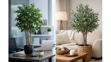 Ofis ve Ev İ&ccedil;in Yapay Ağa&ccedil; Se&ccedil;erken Dikkat Edilmesi Gerekenler