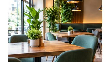 Restoran ve Kafelerde Yapay Bitki Kullanımı