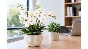 Yapay &Ccedil;i&ccedil;ek Avantajları Ev ve İş Yerlerinde