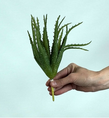 Yapay Aloe Vera Fanus Bitkileri - Yapay Çiçek