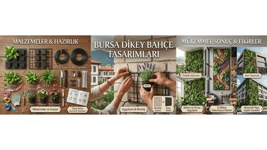 Bursa Dikey Bahçe Tasarımları