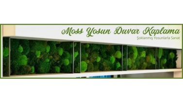 moss yosun duvar kaplama