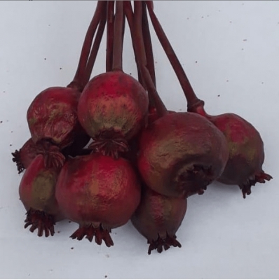 Kırmızı Haşhaş Otu - Dogal Papaver Kuru Çiçek - 1726