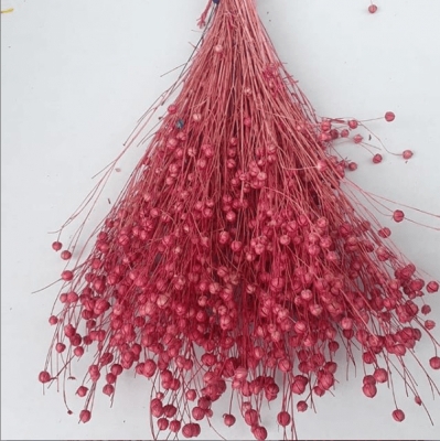 Pembe Keten Otu - Kuru Çiçek - 1650