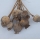 Doğal Haşhaş Otu - Dogal Papaver Kuru Çiçek - 1722