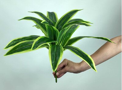 Büyük Krem ve Yeşil Yaprak Demeti