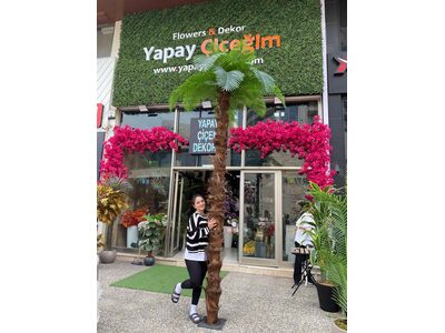 4 Metreye Kadar Boy Seçenekli Dev Yapay Palmiye Ağacı