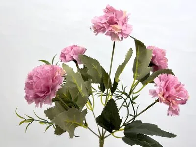 Soft Pembe K&uuml;&ccedil;&uuml;k Şakayık &Ccedil;i&ccedil;eği