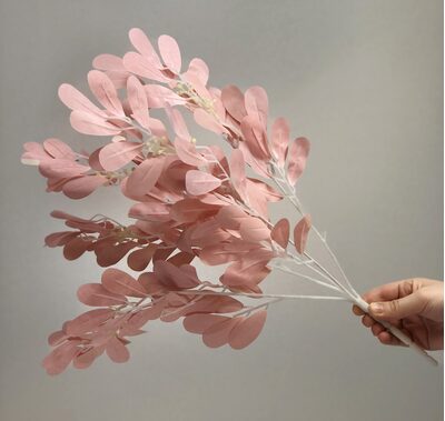 Pembe İgde Yapragı Demeti