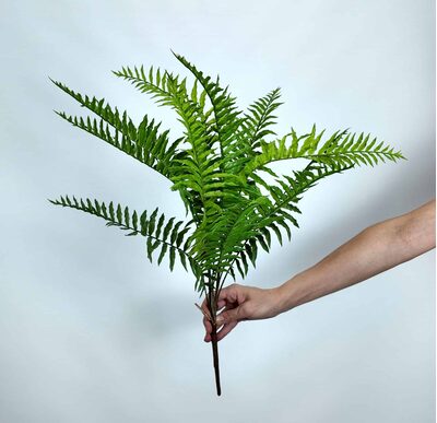 Palmiye Yaprak Demeti