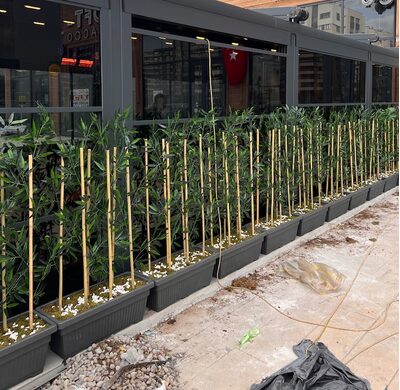 Bambu Seperatör Plastik Saksılı