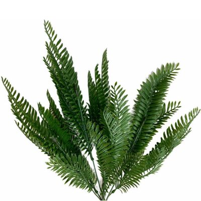 &Ccedil;am Dalı Yeşil Demet&Ccedil;am Dalı Yeşil Demet&Ccedil;am Dalı Yeşil Demet