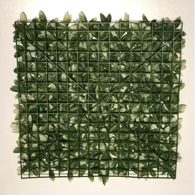 Artificial Green Wall at Best Price in Germany 50x50 cm