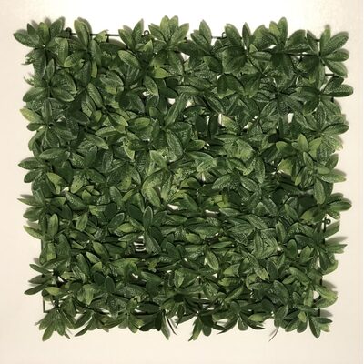 Outdoor UV Artificial Green Wall Hedge Panel  50x50 cm