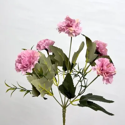 Soft Pembe K&uuml;&ccedil;&uuml;k Şakayık &Ccedil;i&ccedil;eği