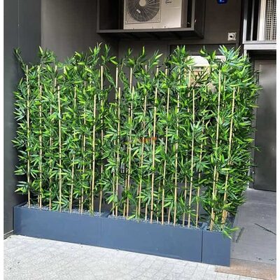 Fiber Saksılı Bambu Seperatör
