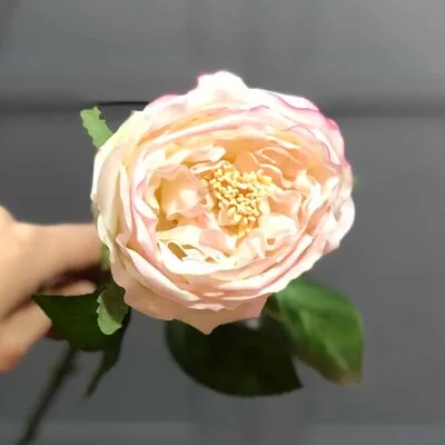 Kaliteli Ger&ccedil;ek&ccedil;i Islak Pembe Şakayık