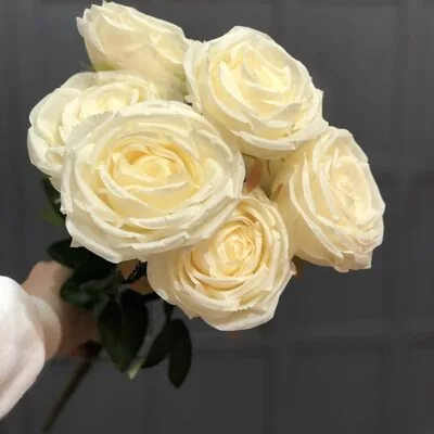 B&uuml;y&uuml;k Kafa Krem G&uuml;l Demeti