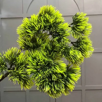 Yapay Bonzai Dalı