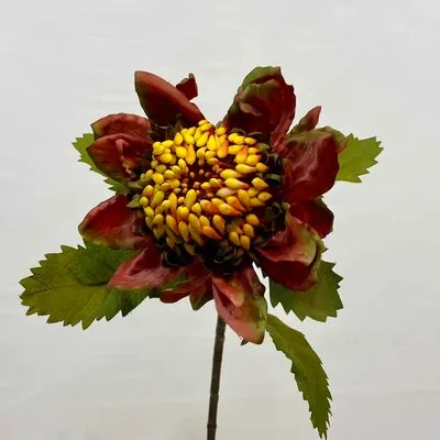 sarı yuvarlak &ccedil;i&ccedil;ek