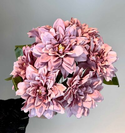 pembe krizantem