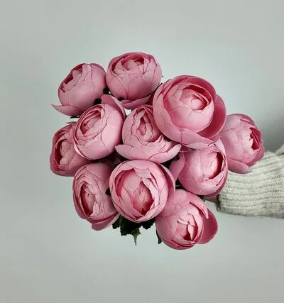 Pembe Kapalı Şakayık