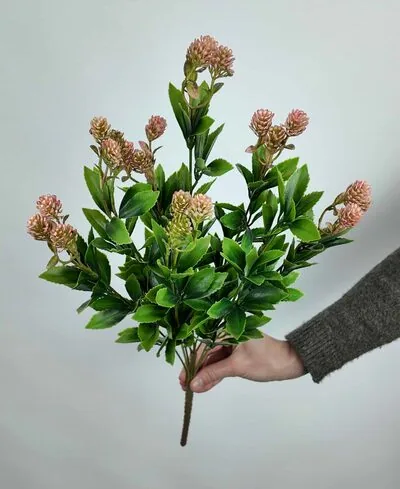 Yeşillik Demet Kalanchoe