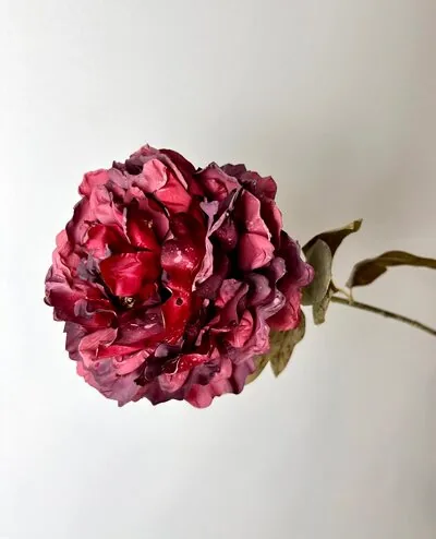 Bordo Şakayık B&uuml;y&uuml;k Boy