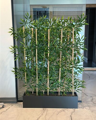 Bambu Seperatör Mdf Saksılı Yakın Görünümü
