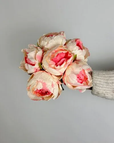 Pembe Şakayık