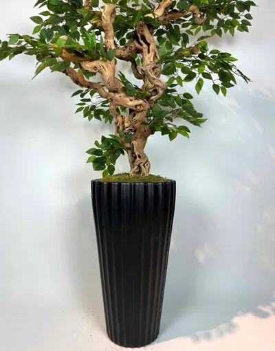 Yapay Ficus Bonzai Ağacı g&ouml;vde g&ouml;r&uuml;n&uuml;m&uuml;