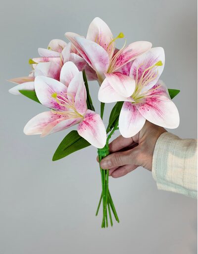 A&ccedil;ık Pembe Lilyum