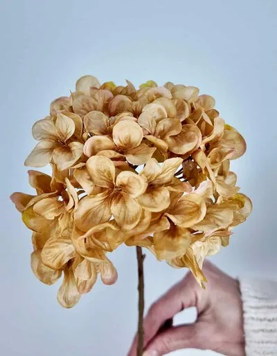 Ortanca &Ccedil;i&ccedil;ek