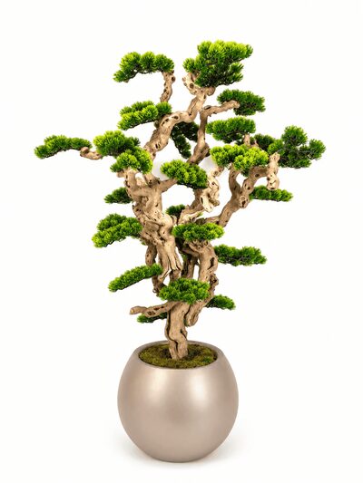 Bonsai Yapay Ağaç Plastik Saksılı Detaylı Fotoğrafı