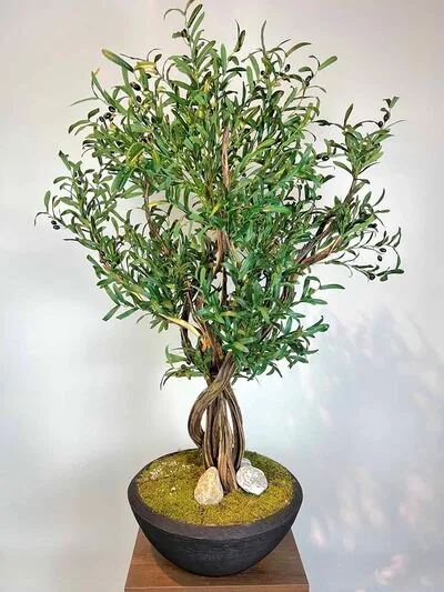 Siyah Saksılı Premium Yapay Zeytin Ağacı Detaylı Fotoğrafı