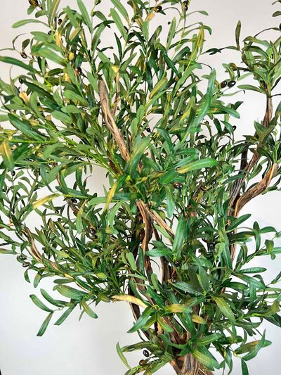 Siyah Saksılı Premium Yapay Zeytin Ağacı yaprak detayı