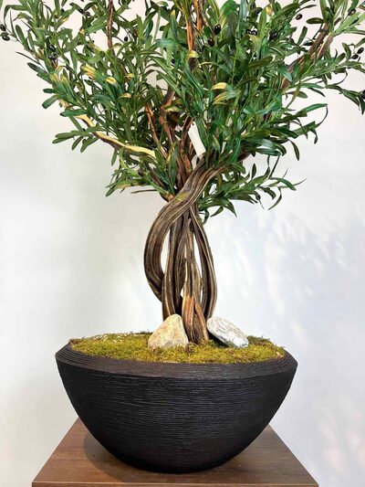 Siyah Saksılı Premium Yapay Zeytin Ağacı gövde görünümü