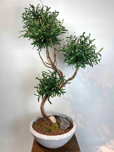 Bonzai Görünümlü Yapay Zeytin Ağacı Detaylı Fotoğrafı