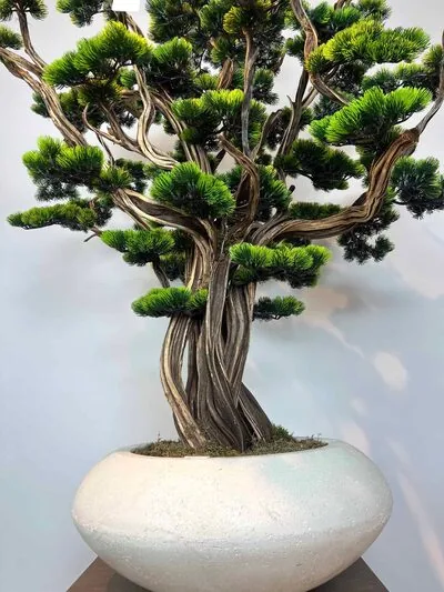 S&uuml;per L&uuml;ks Yapay Bonzai Ağacı &ndash; Dekoratif Ofis ve Ev Bonsai Modeli g&ouml;vde detayı