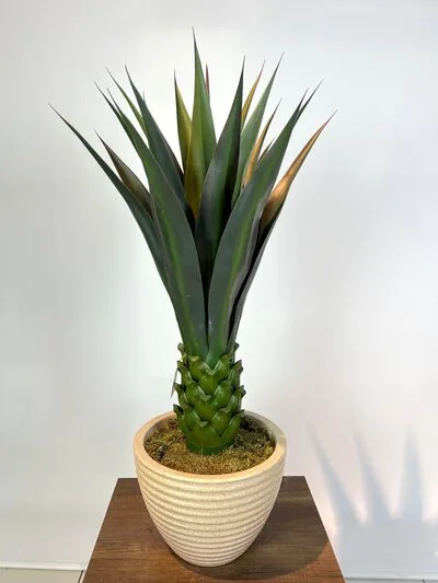 Dekoratif Yapay Agave Ağacı Detaylı Fotoğrafı