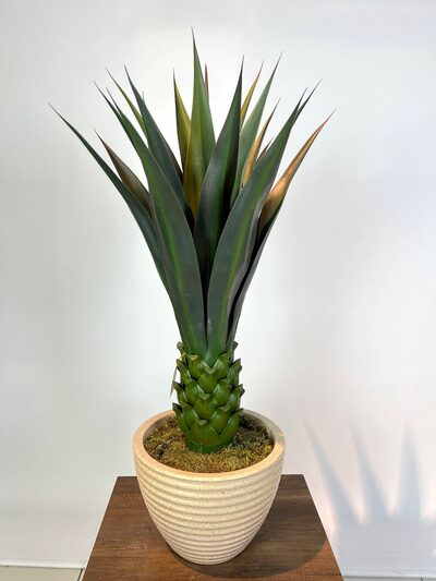 Dekoratif Yapay Agave Ağacı Detaylı Fotoğrafı