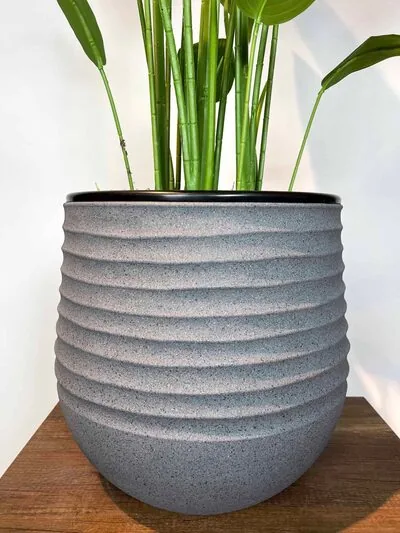 Strelitzia nicolai Yapay Ağa&ccedil; saksı detayı