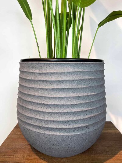 Strelitzia nicolai Yapay Ağaç saksı detayı