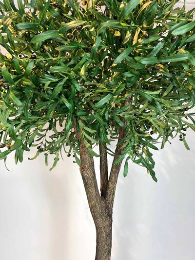2.5 mt Zeytin Ağacı yaprak detayı