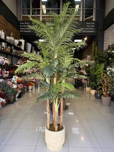 Palmiye Ağacı 5 G&ouml;vdeli 2.50 mt Detay Fotoğrafı
