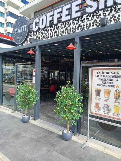 1.00 Mt. Yapay Limon Ağacı